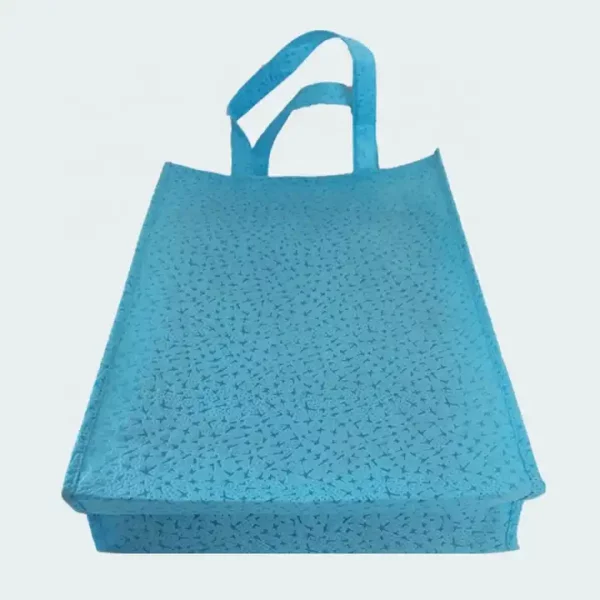 Raco shopping bag PP Nonwoven Fabric for Bags pp spunboned non-woven fabric